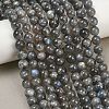 Natural Labradorite Beads Strands G-P336-19-8mm-01-1