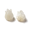 Natural Trochid Shell/Trochus Shell Beads BSHE-E026-03-2