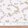 MIYUKI Delica Beads SEED-X0054-DB1766-4