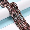 Natural Rhodonite Beads Strands G-E591-03-2