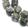 Natural Map Stone Beads Strands G-I376-D01-01-3