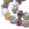Natural Botswana Agate Beads Strands G-F715-017-3