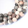 Natural Zebra Jasper Round Beads Strands G-E334-6mm-11-1