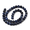 Natural Sodalite Beads Strands G-Q462-8mm-07-4
