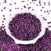 Transparent Inside Colours Glass Seed Beads SEED-T007-19A-04-1