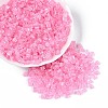 Transparent Inside Colours Glass Seed Beads SEED-T007-11H-3