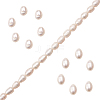 Natural Cultured Freshwater Pearl Beads Strands PEAR-SZ0001-07-1