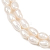 Natural Cultured Freshwater Pearl Beads Strands PEAR-P064-20H-03A-4