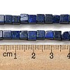 Natural Lapis Lazuli Beads Strands G-F631-K28-5