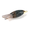Natural Indian Agate Carved Pendants G-P599-08G-07-2