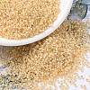 MIYUKI Round Rocailles Beads X-SEED-G007-RR0552-1