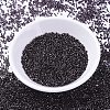 MIYUKI Delica Beads X-SEED-J020-DB1991-2