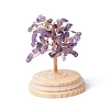 Natural Amethyst Chips Money Tree in Dome Glass Bell Jars with Wood Base Display Decorations DJEW-B007-04G-2