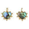 Synthetic Abalone Shell/Paua Shell Charms X-KK-N233-216-2