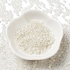 8/0 Glass Seed Beads SEED-Z001-C-E08-2