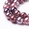Electroplate Shell Pearl Beads Strands X-BSHE-O019-03G-3
