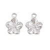 304 Stainless Steel Charms STAS-L317-02P-1