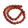 Natural Carnelian Beads Strands G-NH0019-C01-02-2