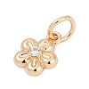 Brass Micro Pave Cubic Zirconia Charms KK-Q096-03B-G-2