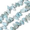 Natural Larimar Beads Strands G-P604-A28-01-2