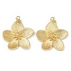 Brass Pendants KK-L255-04G-1