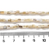 Natural Freshwater Shell Beads Strands X-SSHEL-B002-17-4