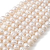Natural Cultured Freshwater Pearl Beads Strands PEAR-L034-18D-2
