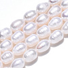 Natural Cultured Freshwater Pearl Beads Strands PEAR-N012-07J-4