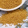 MIYUKI Delica Beads SEED-JP0008-DB2285-1