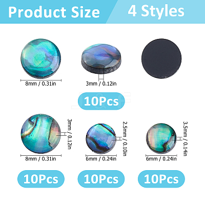 40Pcs 4 Styles Natural Abalone Shell/Paua Shell Cabochons with Enamel BSHE-HS0001-02-1