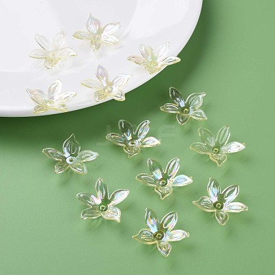 Transparent Acrylic Beads MACR-S373-102-C06-1