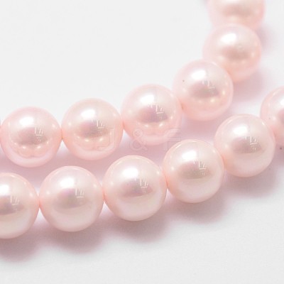 Shell Pearl Bead Strands BSHE-L025-06-8mm-1