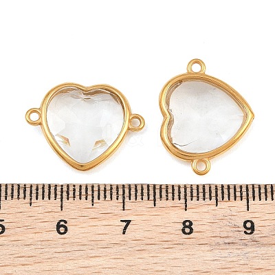 304 Stainless Steel Glass Connector Charms STAS-Q119-02G-A02-1
