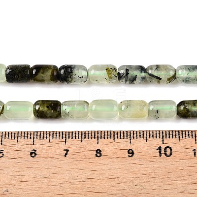 Natural Prehnite Beads Strands G-G980-45-1