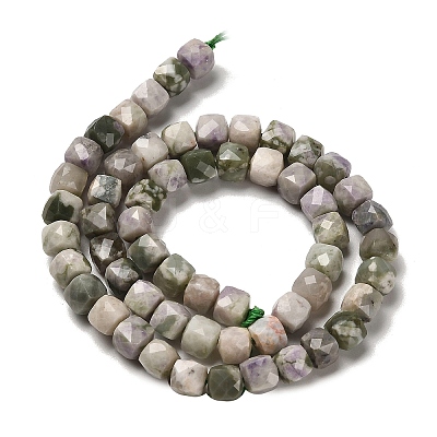 Natural Peace Jade Beads Strands G-H078-C10-01-1