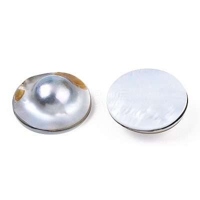 Natural Shell Cabochons PEAR-N020-Q01-1