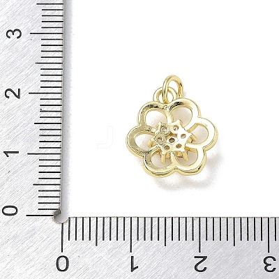 Brass with Rhinestone Charms KK-CBAD872-01G-03-1