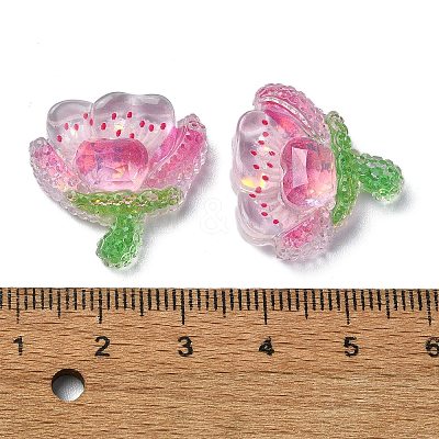Transparent Epoxy Resin Decoden Cabochons X1-CRES-I030-16B-1
