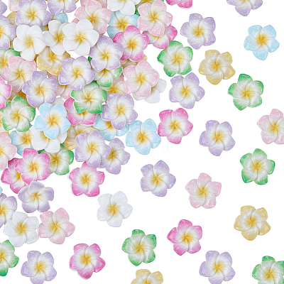 Plumeria Flower Opaque Resin Cabochons CRES-BM0001-01A-1