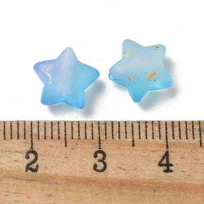 Frosted Acrylic Charms OACR-M023-04F-1
