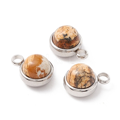 Natural Picture Jasper Charms G-K325-01P-06-1