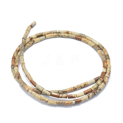 Natural Picture Jasper Beads Strands G-F631-B10-1