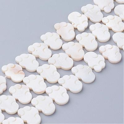 Natural White Shell Beads SSHEL-Q298-07-1