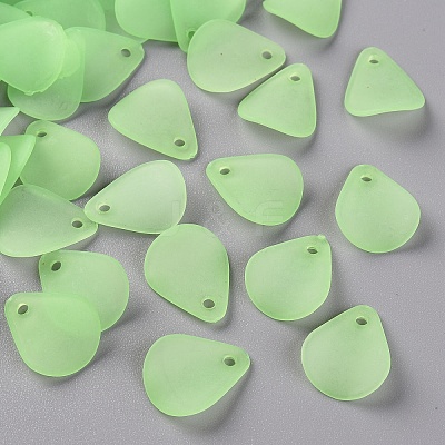Transparent Frosted Acrylic Pendants MACR-S371-09A-733-1