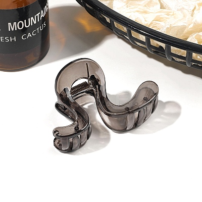 Resin Claw Hair Clips PW-WGB9268-04-1