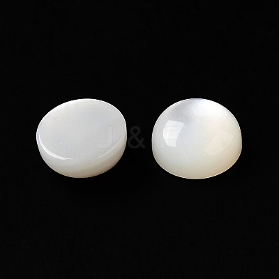 Natural White Shell Cabochons SSHEL-M022-01B-1