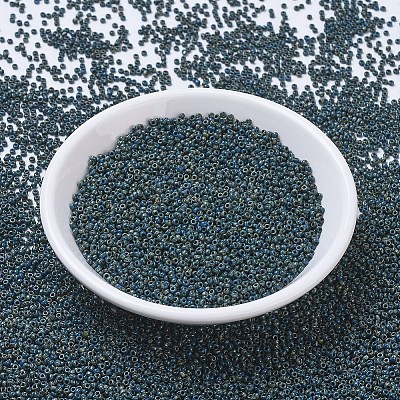 MIYUKI Round Rocailles Beads X-SEED-G010-RR4516-1