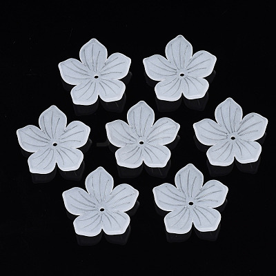 Transparent Acrylic Beads FACR-N005-004-1