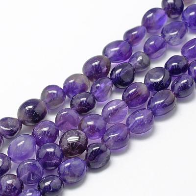 Natural Amethyst Beads Strands G-R445-8x10-03-1