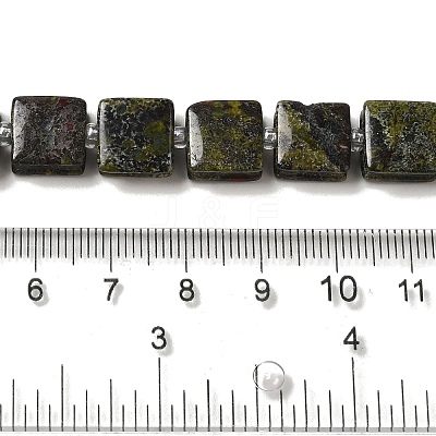 Natural Dragon Blood Jasper Beads Strands G-L596-A06-01-1
